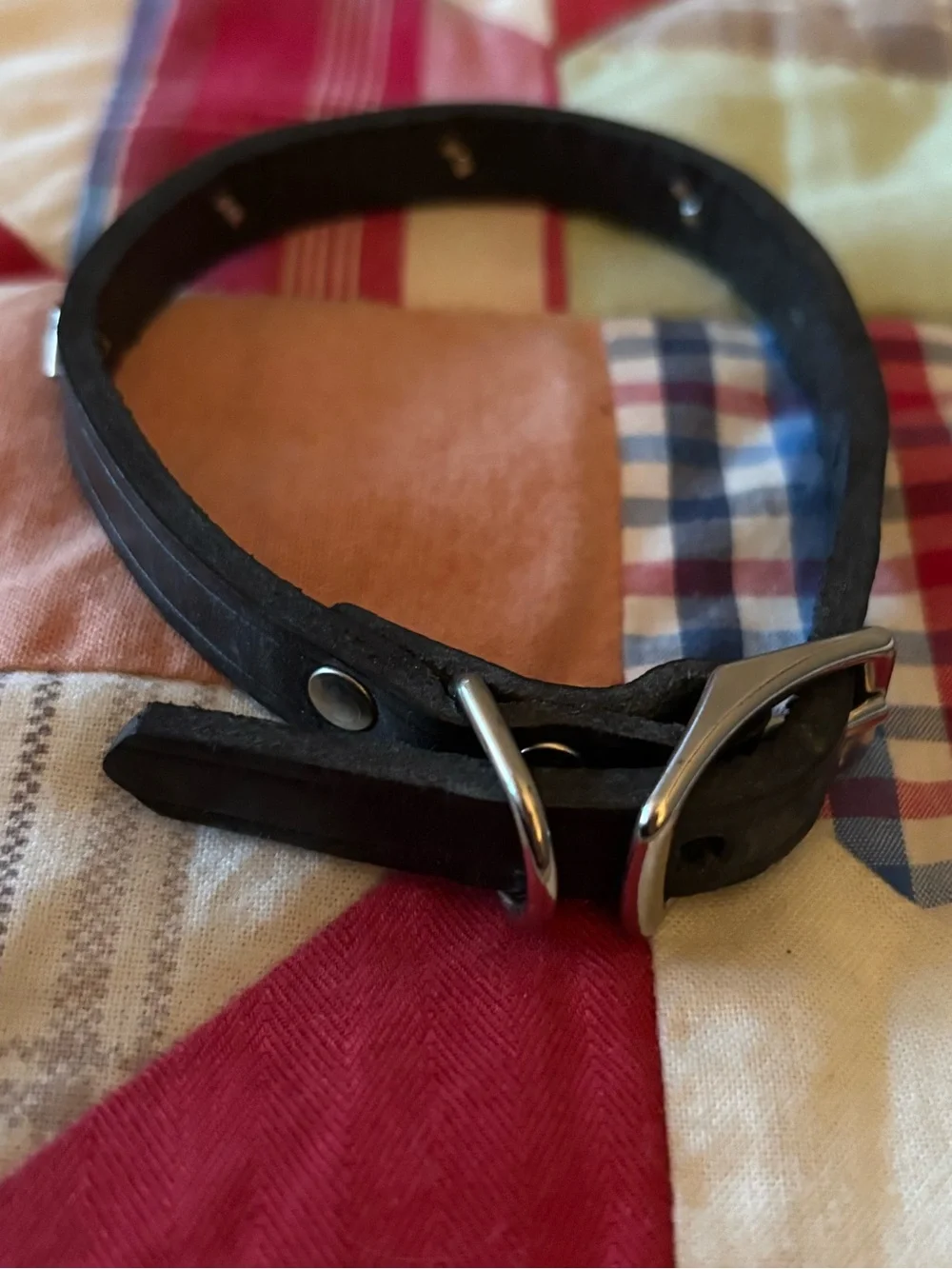 Petco NWOT Black Leather Diamond Studded Dog Collar